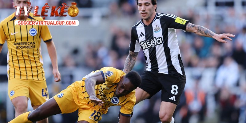 Dự đoán kết quả Brighton & Hove Albion vs Newcastle United soi chiến thuật